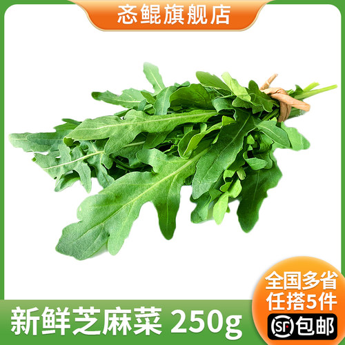 新鲜芝麻菜西餐沙拉蔬菜食材