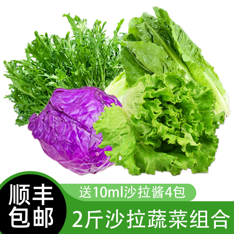 沙拉蔬菜组合2斤 新鲜混合蔬果生菜色拉健身轻食套餐西餐沙拉食材