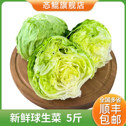 新鲜球生菜5斤三明治汉堡用蔬菜