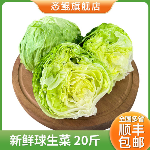 新鲜球生菜20斤汉堡沙拉轻食蔬菜