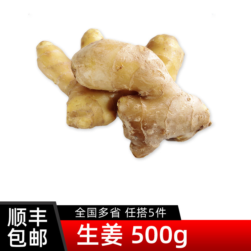 生姜500g 新鲜蔬菜调味料大黄姜老姜干姜块月子姜 5件包邮