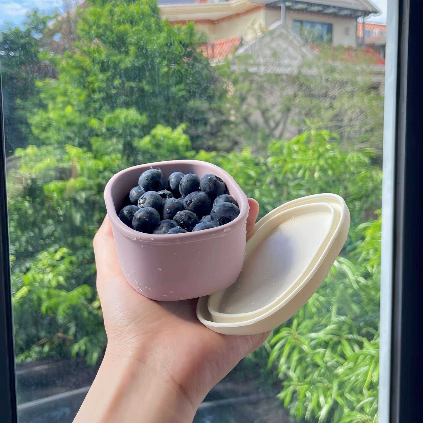【旅行好物】硅胶水果保鲜盒便携式密封食物收纳盒大容量家用出差