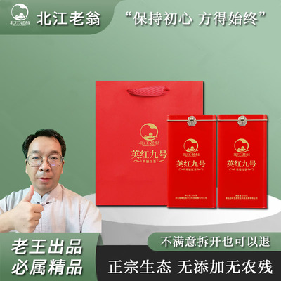 北江老翁英红九号英德红茶2025年新茶英雄9号浓香型老树广东英九