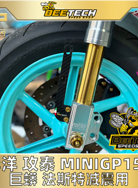 黄蜂科技华洋功泰巨蟒改装法斯特 minigp前减震碳纤维挡泥板支架