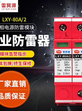 单相交流电源防雷器 家用220v交流电避雷器 80KA防雷模块保护器