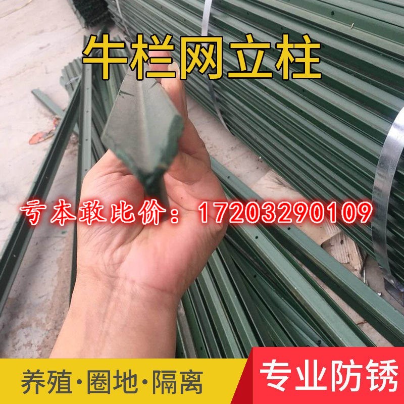 牛栏网铁丝网柱立柱铸铁三角实心柱尖头柱加厚养殖牛羊户外围栏网