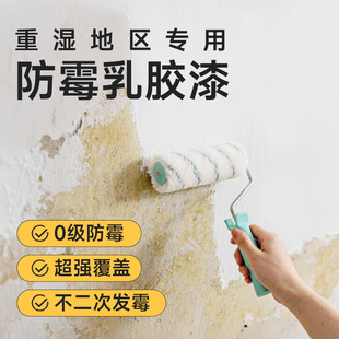 室内家用防霉乳胶漆内墙防水防潮自刷白色墙漆旧墙面翻新涂料小桶