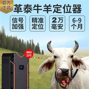 牛羊马定位器卫星北斗gps山区放牧专用防水追踪神器订15号10