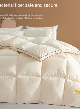 summer autumn quilt thick comforter duvet blanket 被子被芯