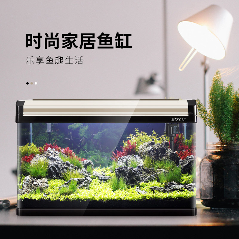 金鱼缸60价格 金鱼缸60图片 星期三