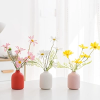 Маленький пудинг 【3 -ciece Set】+Маленькая ромашка