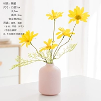 Маленький пудинг [фанат]+huangxiao daisy