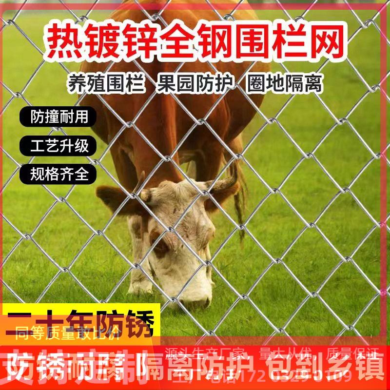 热镀锌钢丝养殖网鸡鸭养猪牛羊围栏勾花网格网圈地果园鱼塘防护网