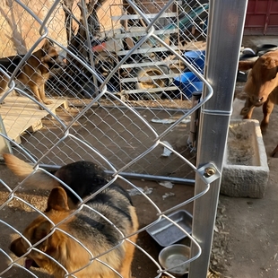 镀锌铁丝网钢丝围栏养猪牛羊勾花网鸡鸭狗养殖网鱼塘果园防护