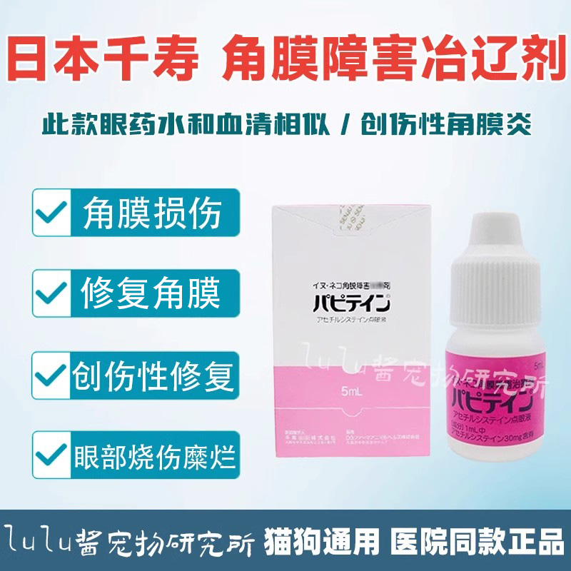 日本千寿宠物眼药水创伤性角膜炎猫狗溃烂滴眼液角膜障害结膜