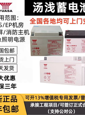 YUASA汤浅蓄电池NP65-12免维护12V100AH65AH38A24A18A7A直流屏UPS