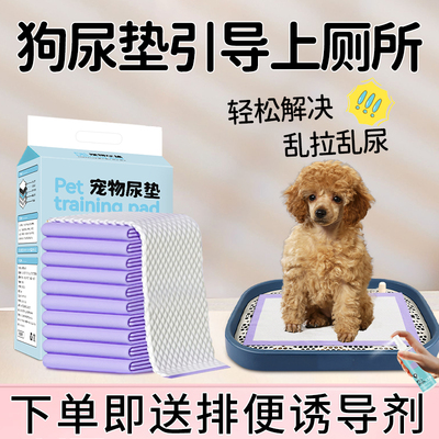 狗尿垫引导上厕所固定点排大小便神器宠物狗狗诱导因子训导尿垫片