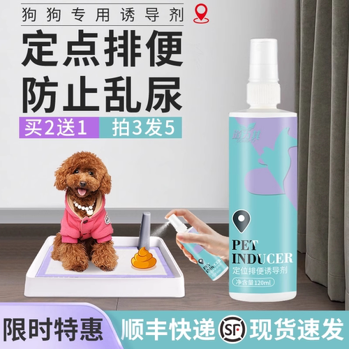 训练定点排便防止拉屎神器诱导剂
