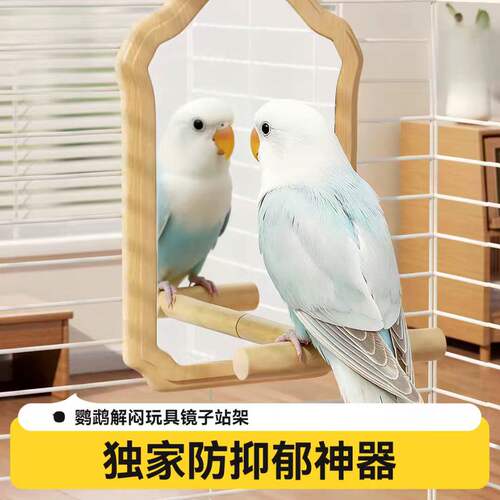 鹦鹉镜子自嗨解闷小鸟玩具原木站杆挂笼镜牡丹虎皮鸟笼装饰磨爪棒