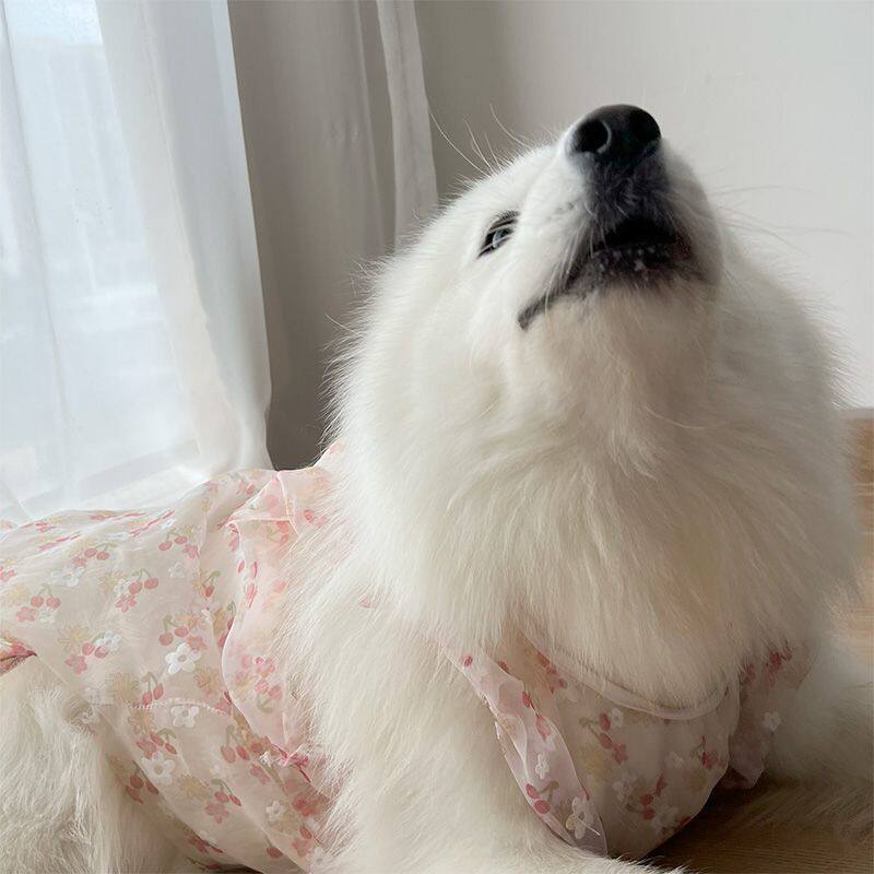 狗狗衣服春秋冬装防掉毛拉布拉多萨摩耶哈士奇边牧柴犬中型大型犬