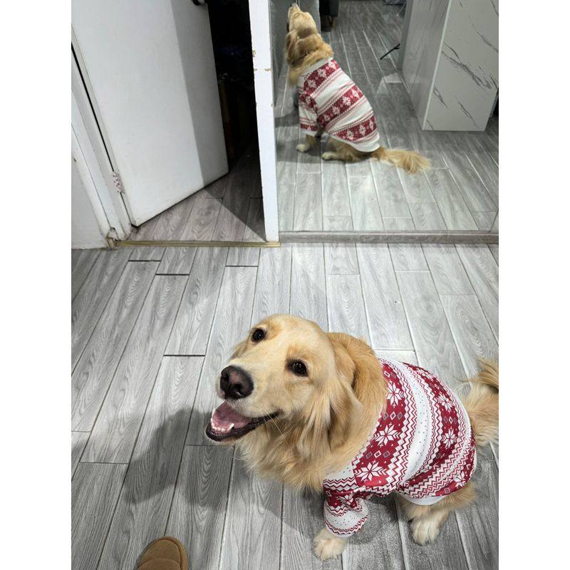 客人爱犬实拍大型犬秋冬卫衣保暖衣金毛拉布拉多边牧杜宾大狗衣服,宠物/宠物食品及用品,狗宠物服装/雨衣,淘宝优惠券,粉丝福利购,淘宝优惠卷