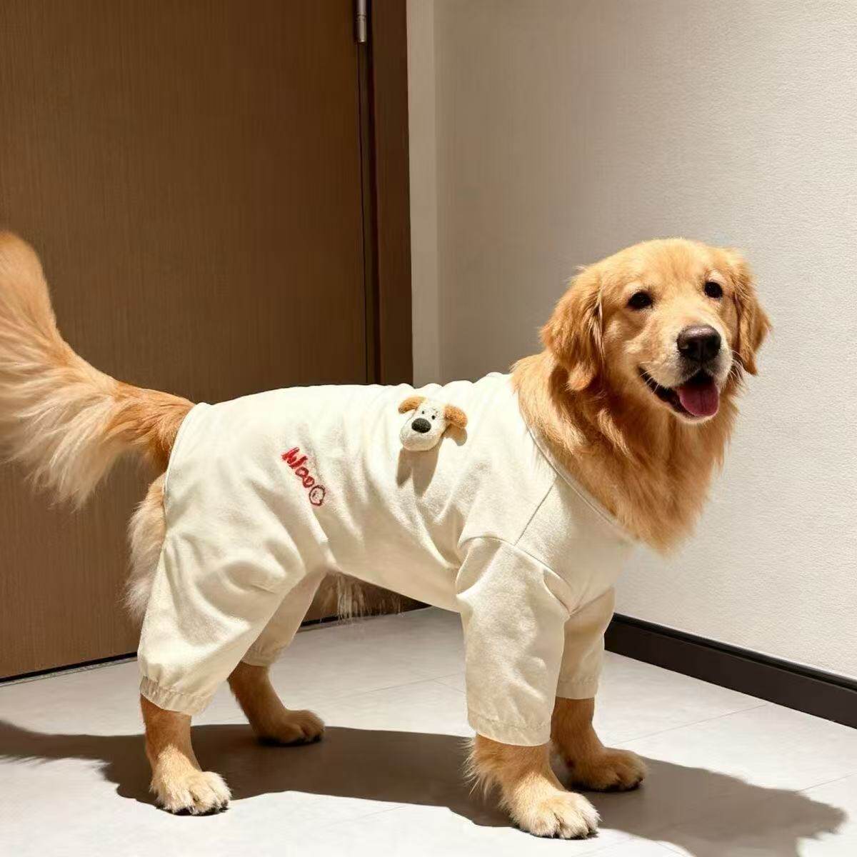 宠物春秋可爱卡通撞色四脚衣大型犬金毛萨摩耶拉布拉多宠物衣服