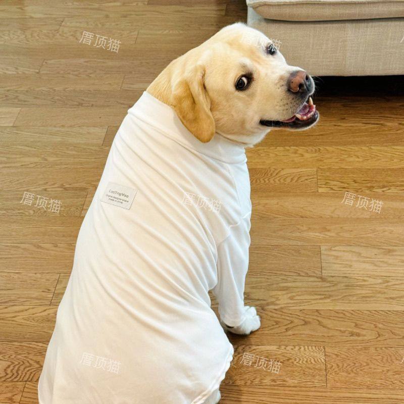 中大型犬德绒打底衫拉布拉多金毛边牧萨摩耶狗狗保暖衣服大狗服装,宠物/宠物食品及用品,狗宠物服装/雨衣,淘宝优惠券,粉丝福利购,淘宝优惠卷