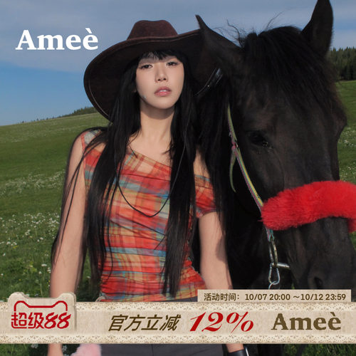 红调格纹网纱美式t恤女