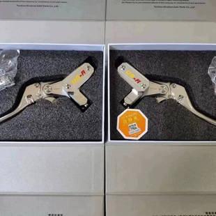 新款UGR-11直上侧推E80/100/125/200p机械师Mmax九号小牛刹车上泵