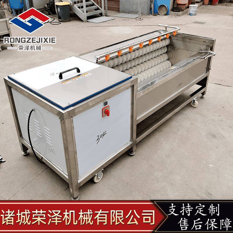 天麻人参三七加工毛刷清洗机 不锈钢毛辊清洗机 商用去皮清洗机