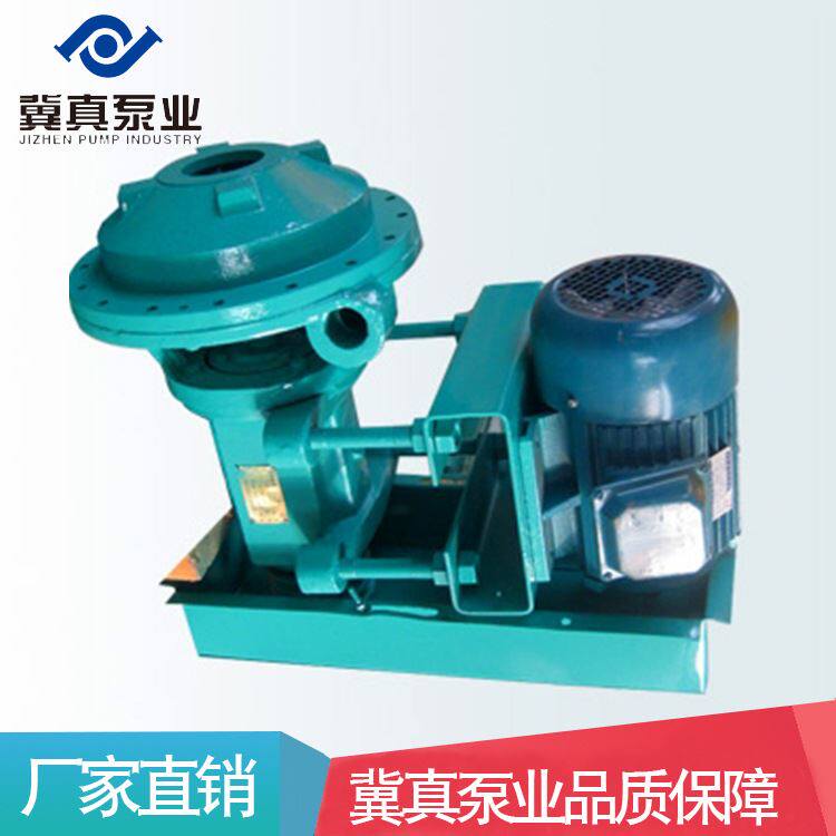 滤液泵3千瓦FPB80-32滤液泵定制产品冀真泵业厂家供应