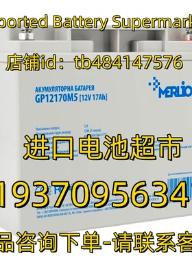 MERLION蓄电池 GP12170M5 12V17AH 免维护电池