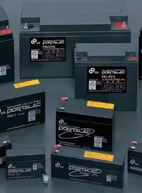 原装进口日本GS PORTALAC蓄电池 TEV PE PXL 12V 6V船舶 医疗电池