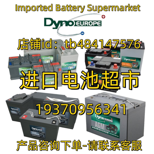 原装DYNOEUROPE蓄电池DLC DGY DAB DAS 12V 6V 2V AGM  船舶电池