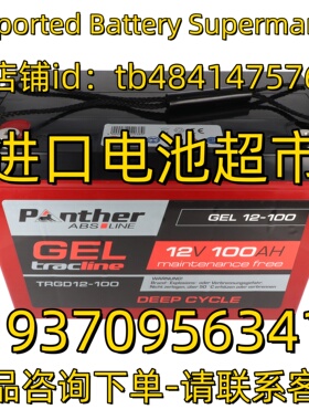 PNTHER蓄电池 GEL12-100 TRGD12-100 12V100AH 免维护电池