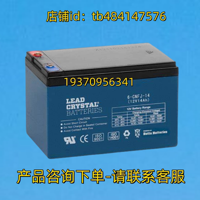 LEAD CRYSTAL 蓄电池 LEADCRYSTAL BATTERIES  6-CNFJ-14 12V14AH