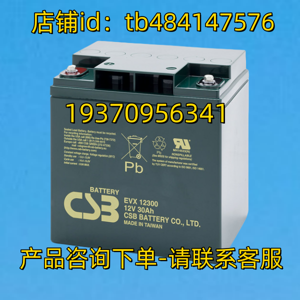 CSB BATTERY蓄电池 CSB BATTERY EVX12300 12V 0AH CSB电池