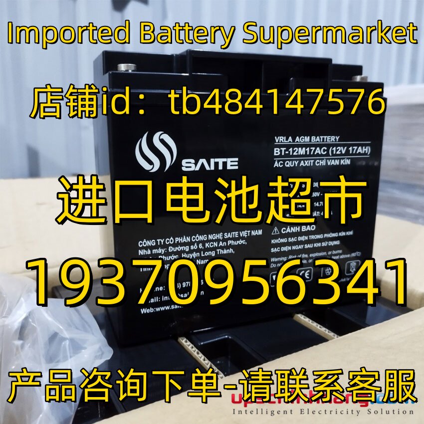 SAITE蓄电池 BT-12M17AC 12V17AH 免维护电池