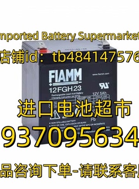 FIAMM蓄电池 12FGH23 12V5AH 应急电源 医疗设备免维护电池