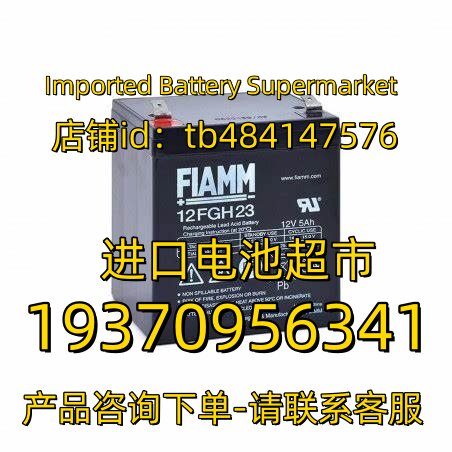 FIAMM蓄电池 12FGH23 12V5AH 应急电源 医疗设备免维护电池