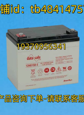 DATA SAFE蓄电池 DATASAFE HX 12HX150-E 12V 145W CELL 15MIN