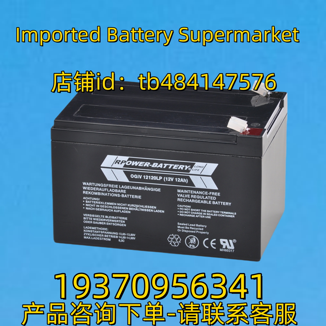 RPOWER BATTERY蓄电池 RPOWERBATTERY OGIV12120LP 12V12AH 电池