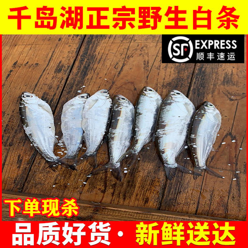 千岛湖本地现杀小白鱼新鲜正宗刁子鱼小鱼小餐条白条淡水鱼小杂鱼