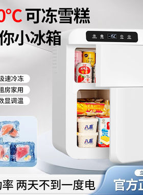 日本进口迷你小冰箱冷冻宿舍租房小型家用冷冻结冰一人小冰柜母乳