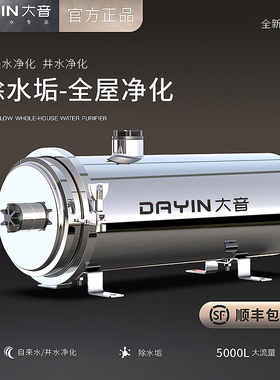 除水垢水碱过滤器井水自来水全屋阻垢净水器农村家用水管大流量净