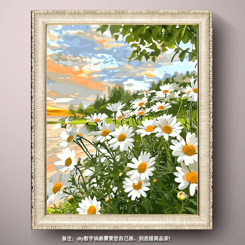 新款diy数字油画花卉千头菊田园解闷手工绘填色涂画装饰油彩挂画