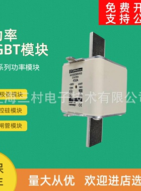 全新熔断器保险质保一年NH1GG50V224 D219285 NH1GG50V250E219815