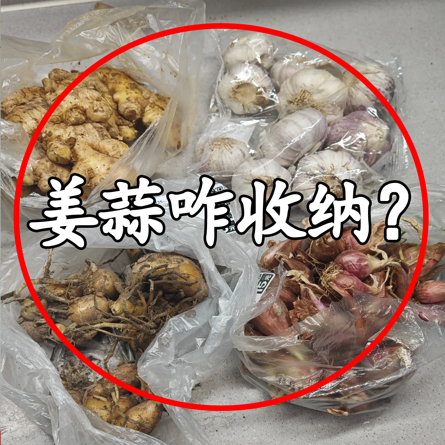 保鲜袋收纳神器免打孔生姜大蒜挂篮厨房置物架壁挂式调果蔬置物架,厨房/烹饪用具,果蔬置物架/篮/框,淘宝优惠券,粉丝福利购,淘宝优惠卷