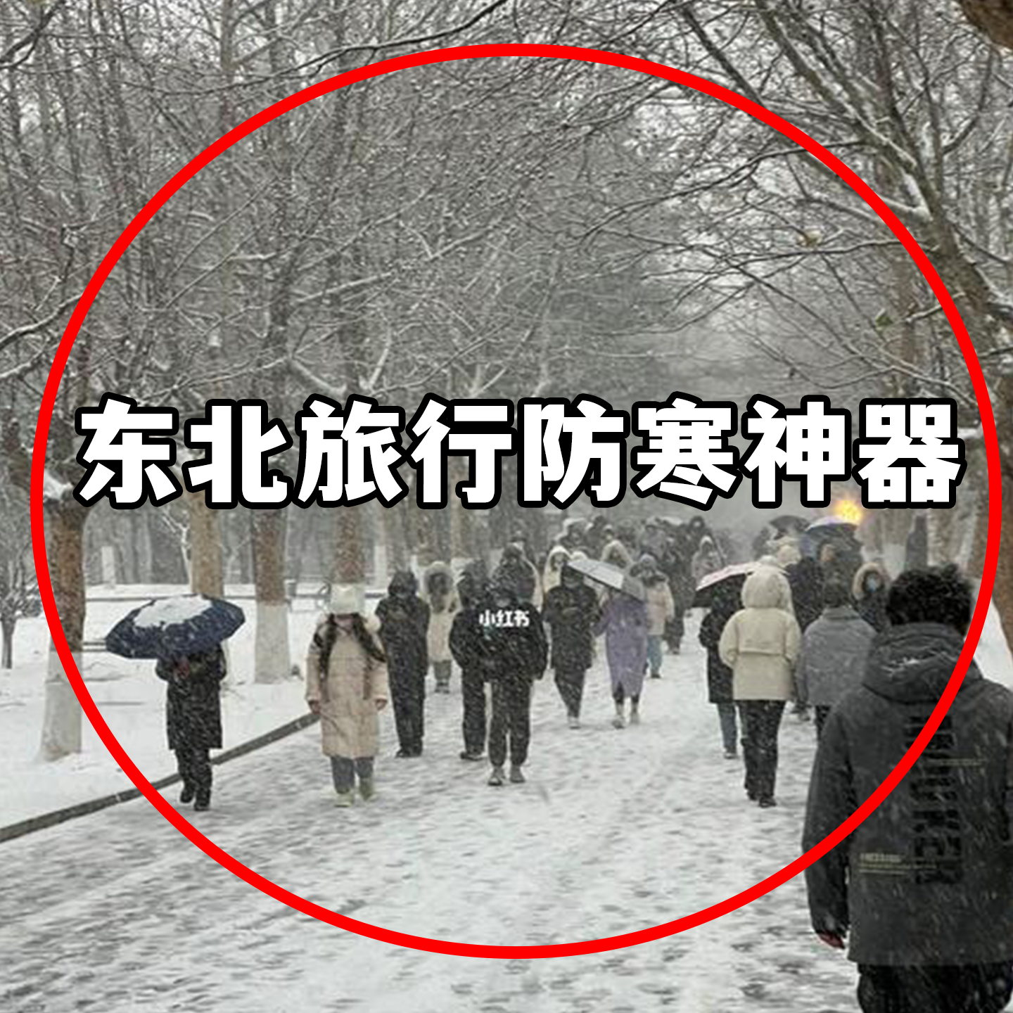 哈尔滨旅游东北防寒装备全套暖宝宝保暖贴发热贴一次性床单被套3