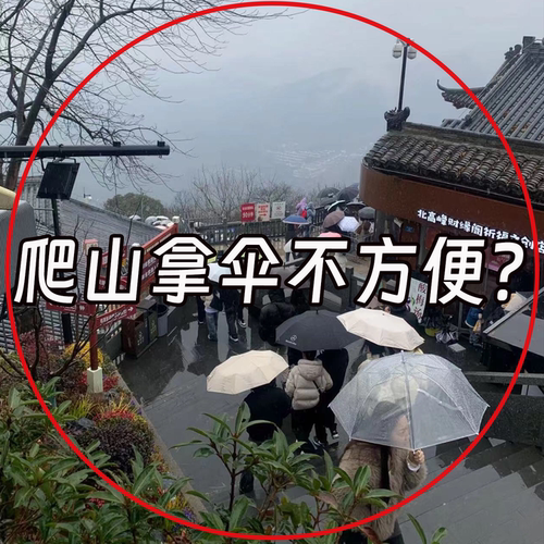 加厚加长小巧便捷-微波炉清洁器